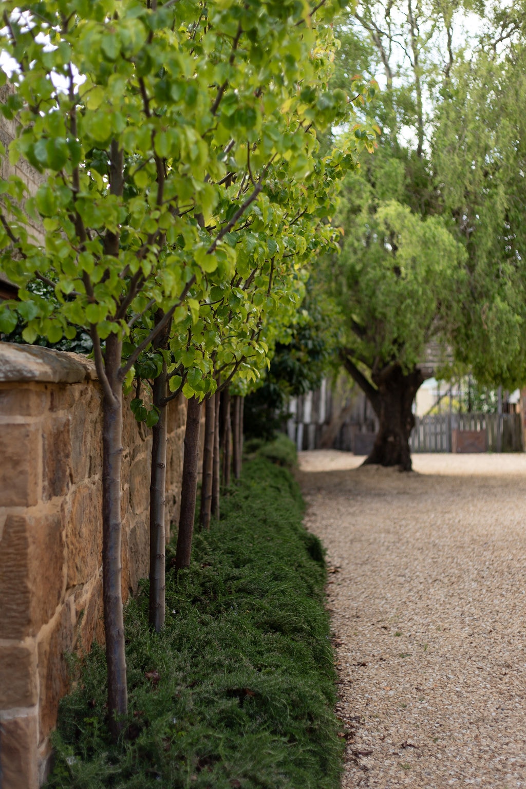 Raffah House barn with willow trees and raised planters