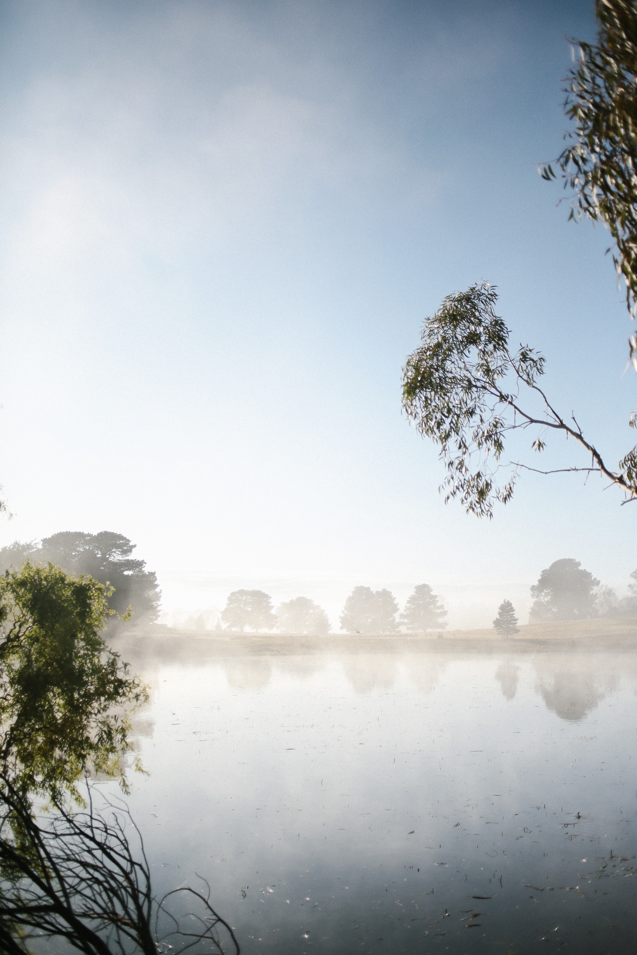 Misty morning lake near Oatlands, Tasmania