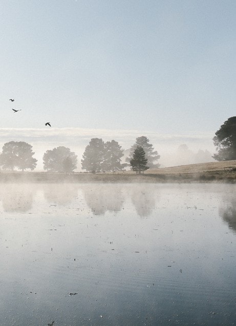 Misty morning at Lake Dulverton, Oatlands, Tasmania